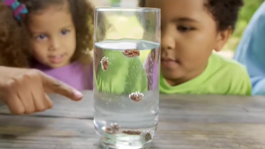 A hand points at a glass of water, where small, brown pieces are suspended. Children watch intently as the pieces float and settle.
