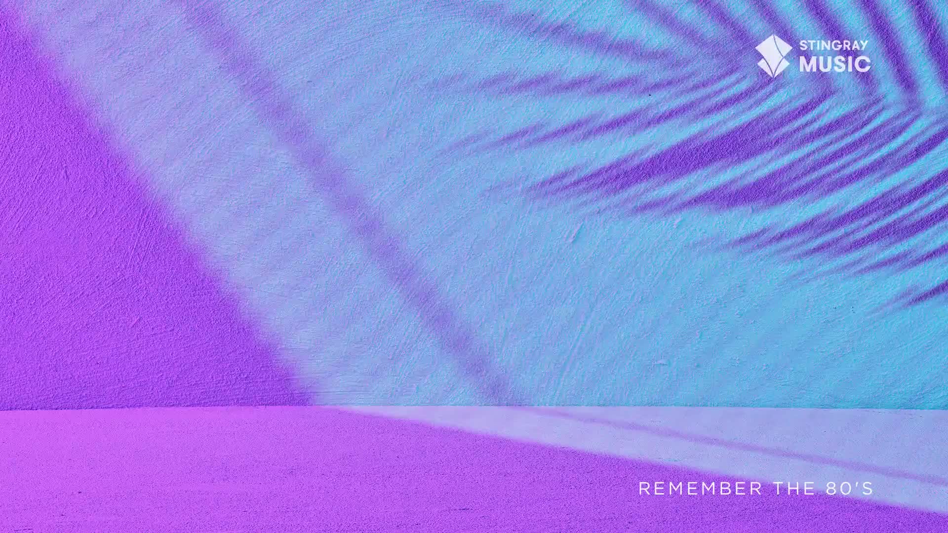 A purple and blue wall is washed with the shadow of a palm frond. The Stingray Music logo is in the upper right; it's a reminder of the '80s.
