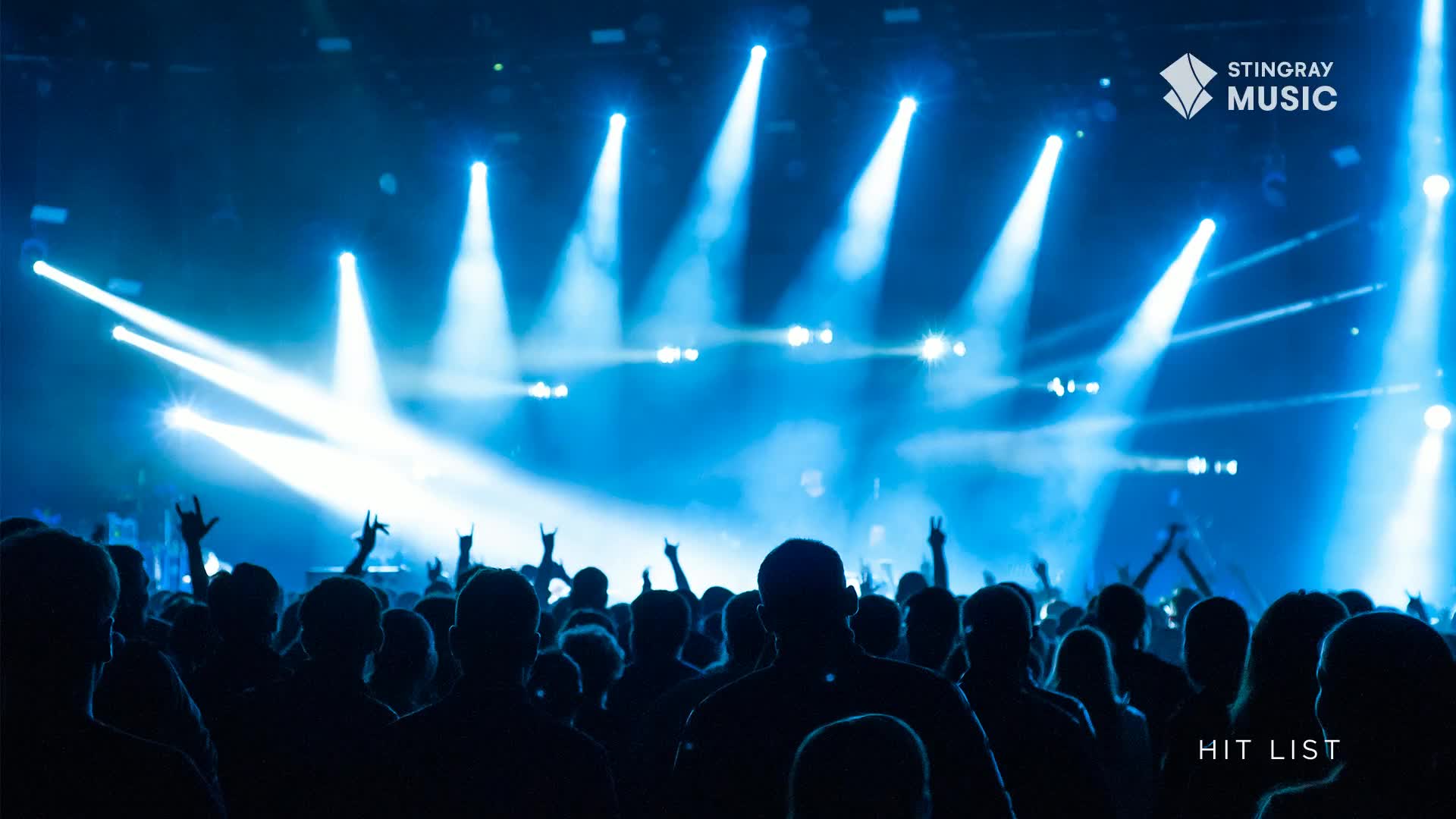 The crowd is a sea of dark silhouettes, arms raised towards the bright spotlights onstage. A Stingray Hit List concert in Canada must be underway, judging by the energy.
