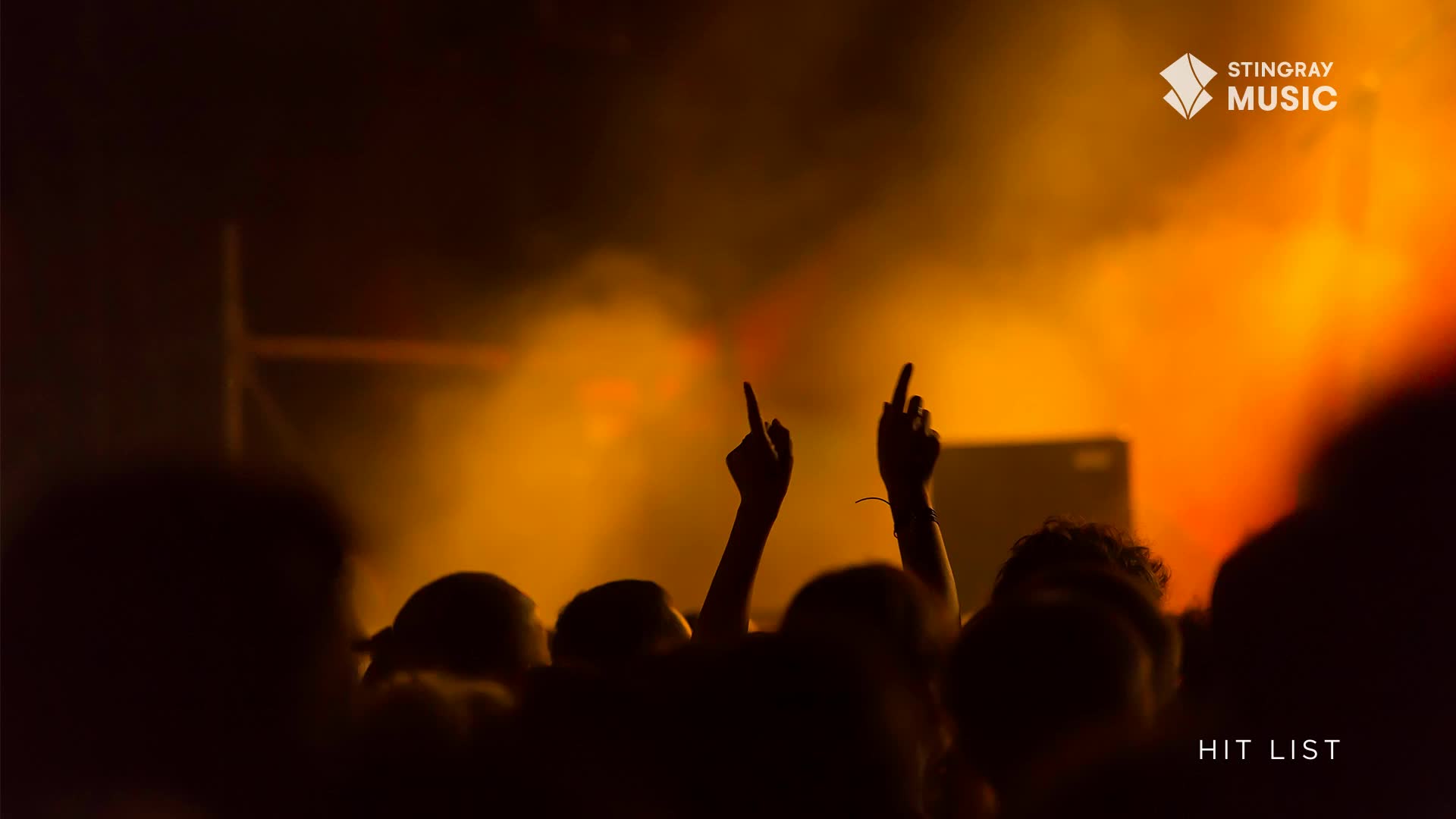 The crowd is a sea of silhouettes, their hands raised and fingers pointing towards the stage.  Orange light washes over the scene, making the air thick with anticipation for the next song on the Stingray Hit List.
