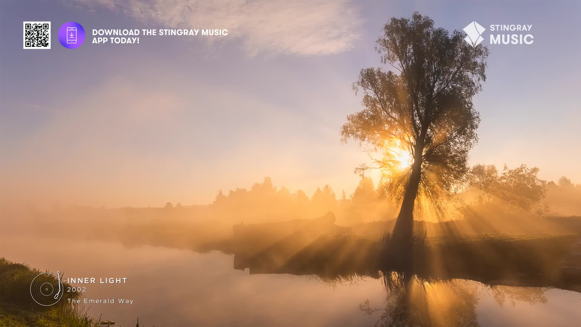 The sun breaks through the mist, casting long, golden rays across the water. A lone tree stands silhouetted against the glow, its branches reaching towards the sky.