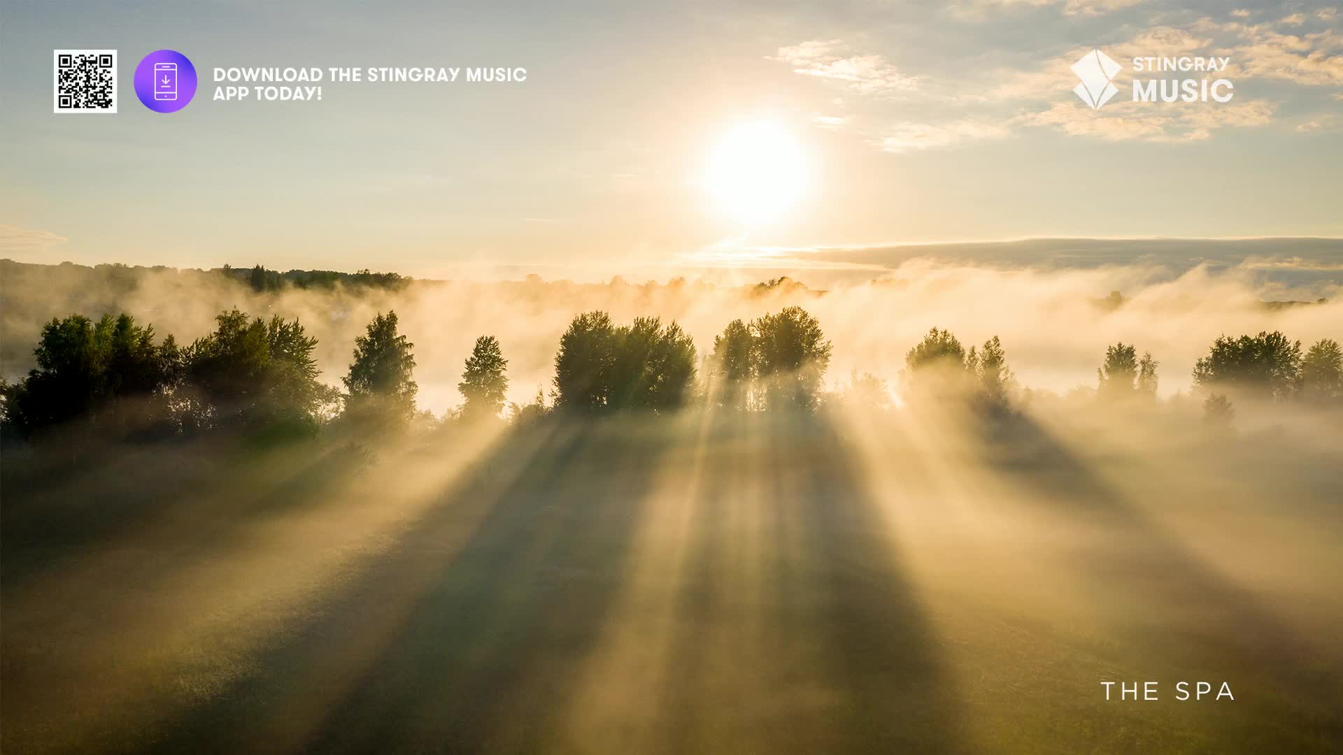 Sunlight streams through the morning mist over a Canadian landscape, illuminating the trees. The air feels still and quiet, perfect for a moment of reflection.