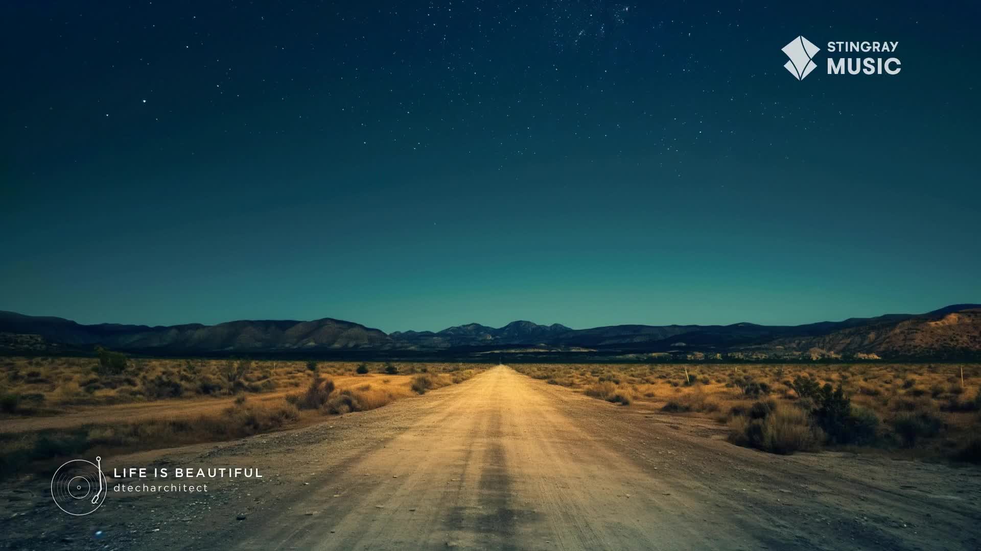 The vast Canadian landscape stretches out under a starry night sky. A long, dirt road cuts through the dry brush, illuminated by the faint glow of distant lights.