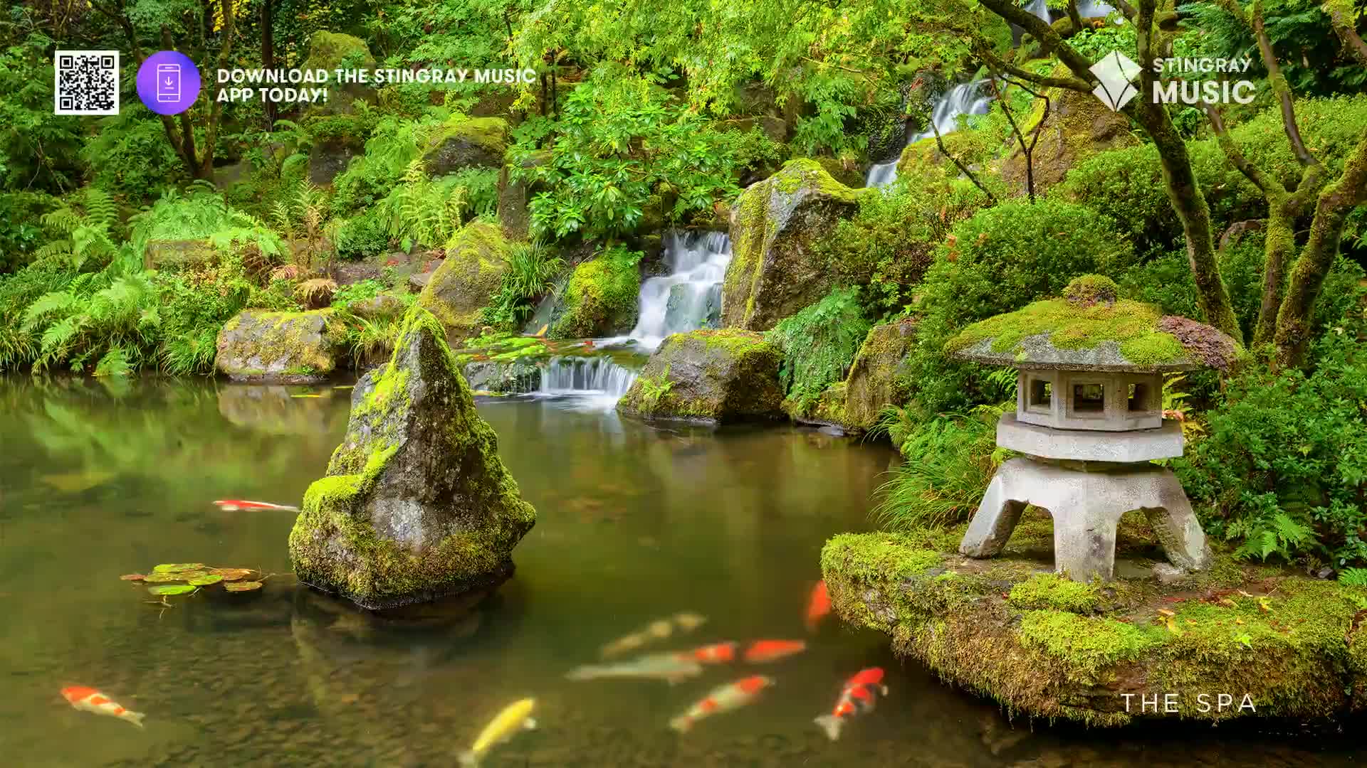 Brightly colored koi swim through the clear water of a pond, a small waterfall cascading behind them. A moss-covered stone lantern sits on the edge of the pond, a serene spot in this Canadian garden.