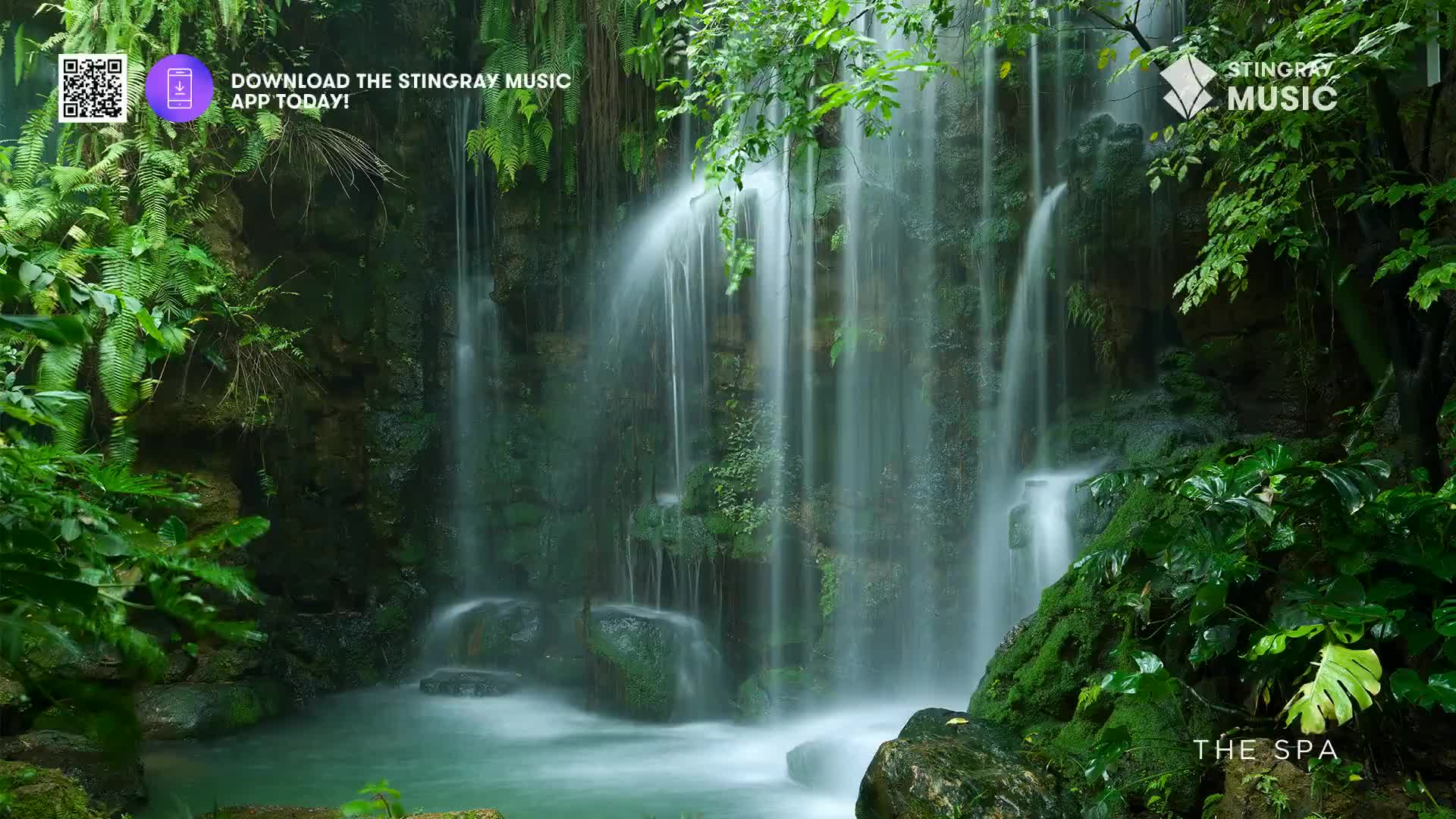 Water cascades down mossy rocks into a pool, surrounded by lush green foliage. This tranquil scene is part of The Spa experience, a serene offering from Stingray Music.