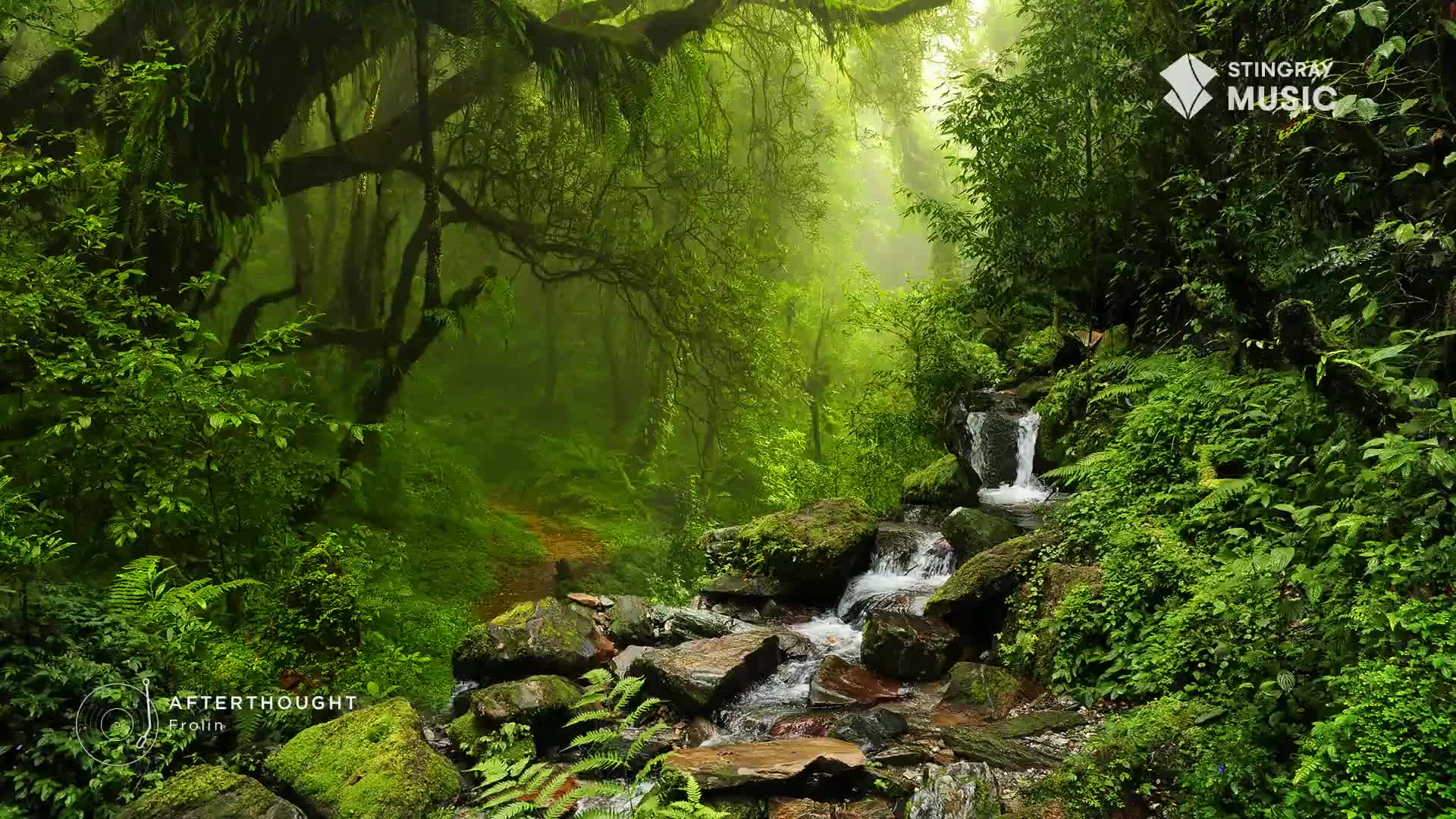 A narrow stream tumbles over moss-covered rocks, disappearing into the dense Canadian forest. Lush ferns and ancient trees create a vibrant green canopy overhead.