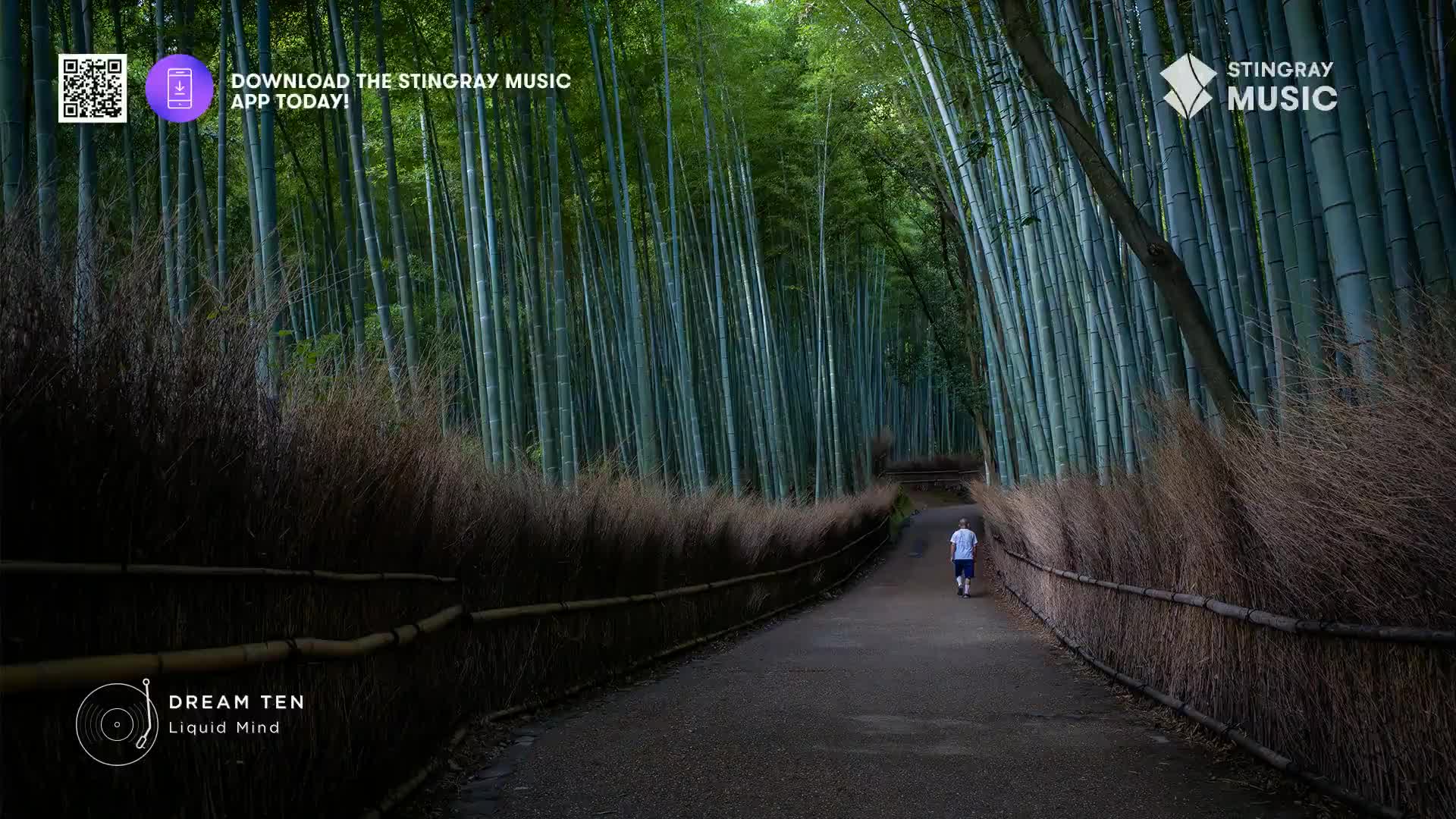 A lone runner moves down a path through a dense bamboo forest. The air feels still, and the only sound is the crunch of gravel underfoot.