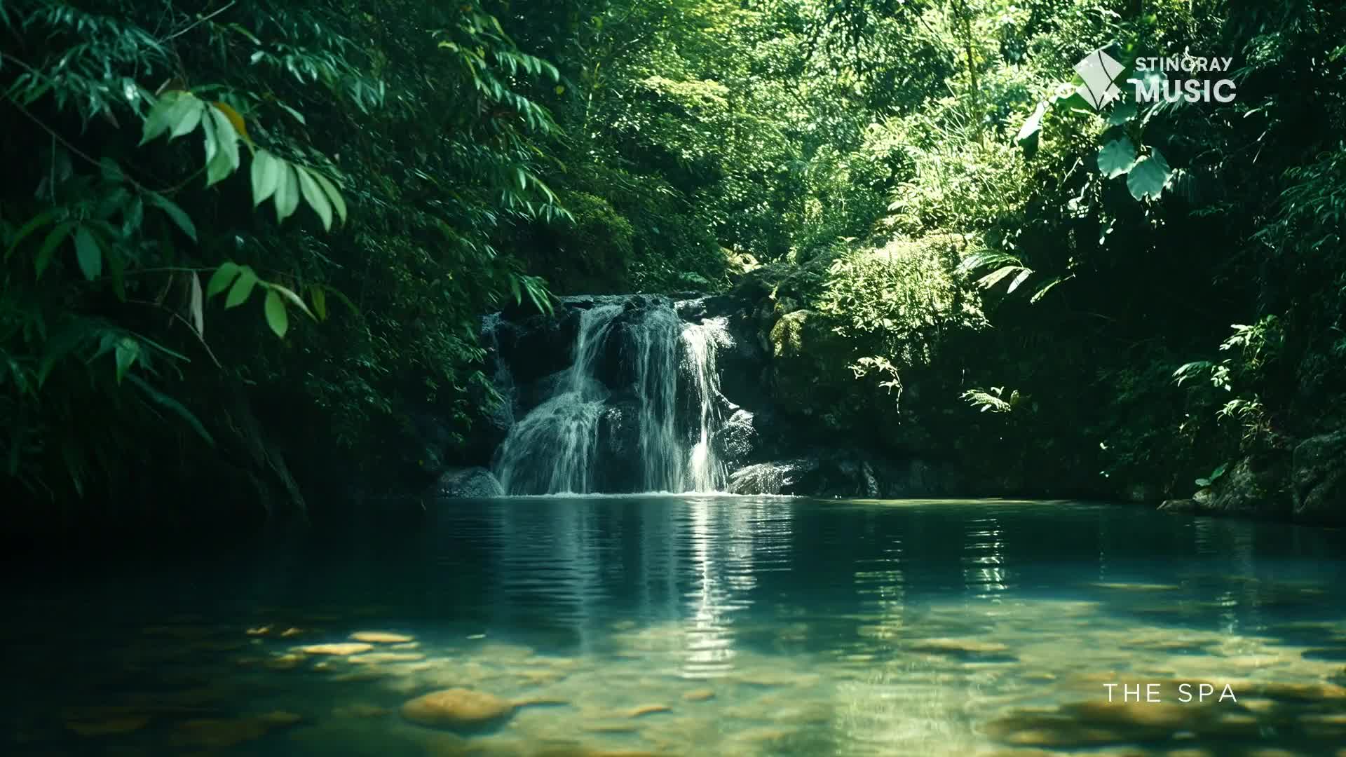 Water cascades over rocks into a clear pool, surrounded by lush green foliage. Sunlight filters through the trees, dappling the water's surface.