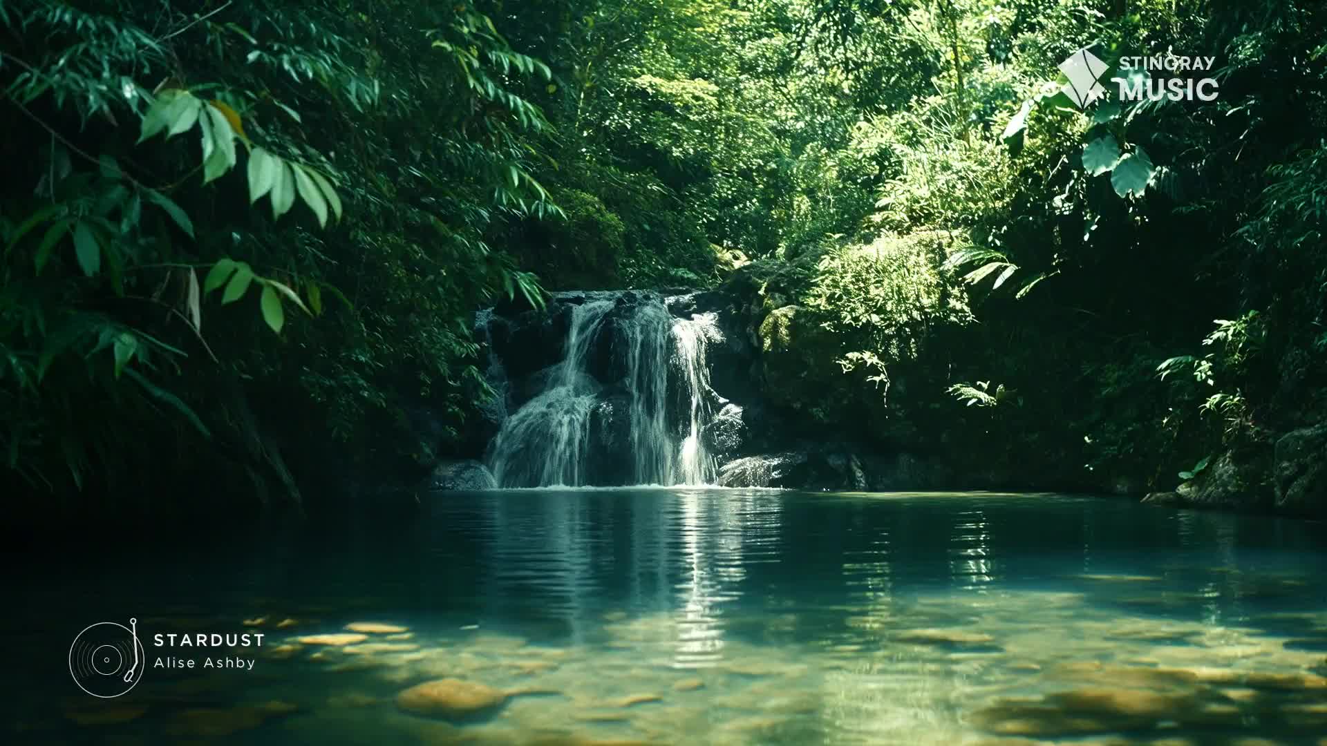 Water cascades over rocks into a clear pool, framed by lush green foliage. Sunlight filters through the trees, dappling the water's surface.
