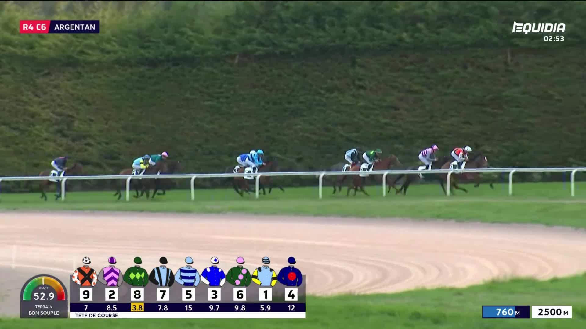 The horses are running along the track at Argentan, their jockeys urging them on.  A few lengths behind the leaders, a cluster of riders in colorful silks are jostling for position.