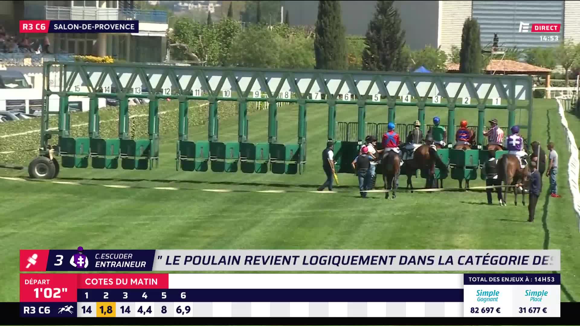 Horses and riders are lining up in the starting gates at Salon-de-Provence. A few handlers are still guiding the animals into their numbered stalls.