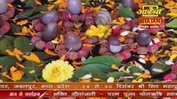 Scattered among the leaves and flowers are smooth, dark stones and small, round objects. The Aastha Bhajan logo is visible above the vibrant display of offerings.
Scattered among the leaves and flowers are smooth, dark stones and small, round objects. The Aastha Bhajan logo is visible above the vibrant display of offerings.