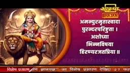 A goddess, adorned in vibrant silks and jewelry, sits regally atop a powerful lion. The lion, with its mane flowing, stands firm, its gaze fixed forward.