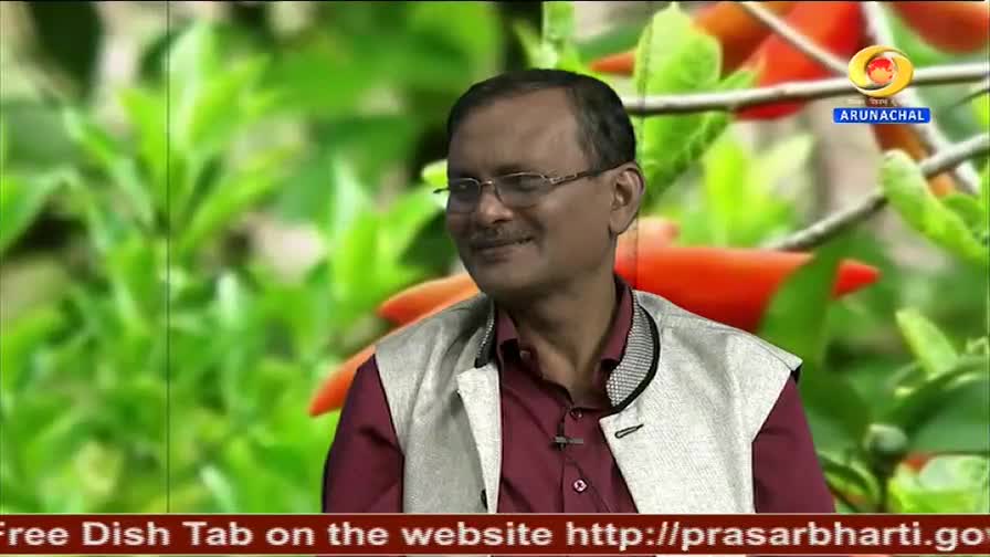 A man in a maroon shirt and a light grey vest sits and smiles, his gaze directed slightly off-camera. Behind him, a vibrant green backdrop with hints of red and orange suggests a natural setting, likely on DD Arun Prabha.