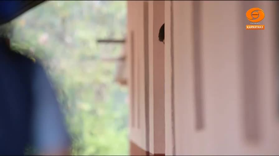 A small, dark insect clings to the edge of a white doorway. Beyond it, the lush green of foliage blurs softly.