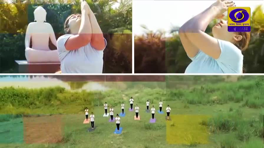 A woman in a light blue shirt holds her hands in prayer position, facing a large white Buddha statue. Across the screen, another woman performs a similar pose, with the DD Punjabi logo visible. Below, a group of people stand on colorful mats in a grassy field, practicing yoga. A woman in a light blue shirt holds her hands in prayer position, facing a large white Buddha statue. Across the screen, another woman performs a similar pose, with the DD Punjabi logo visible. Below, a group of people stand on colorful mats in a grassy field, practicing yoga.