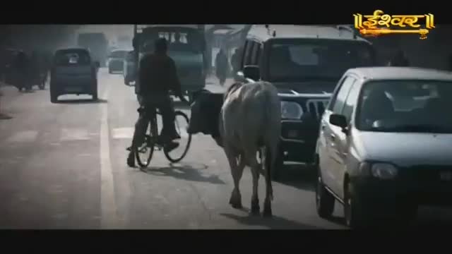 A cyclist navigates through traffic, a cow ambling alongside him on the road. The Ishwar Bhakti TV logo appears in the upper right corner.