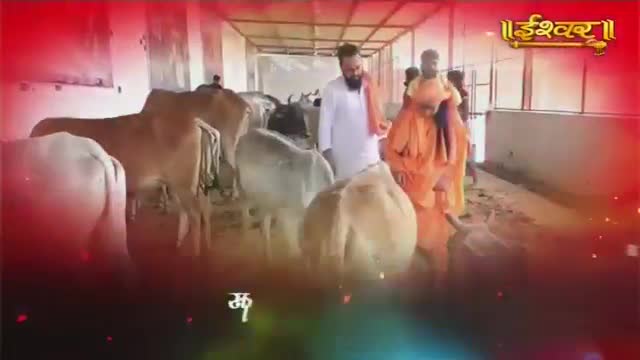 A man in a white kurta stands among several cows, while another man in orange robes walks past. The Ishwar Bhakti TV logo is visible in the upper right corner.