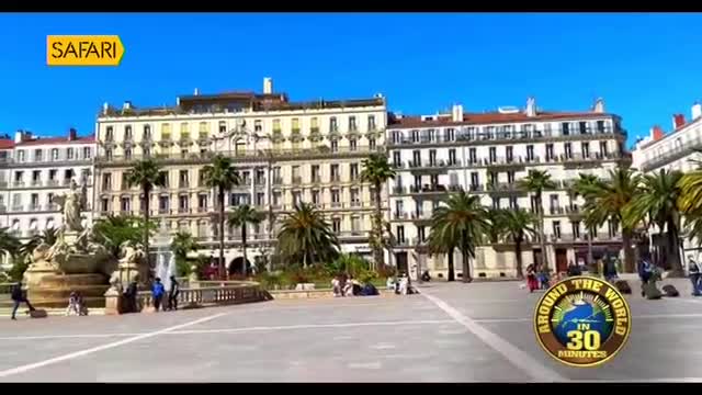 People are strolling through a sun-drenched plaza, some with luggage. Palm trees sway gently in front of grand, old buildings.