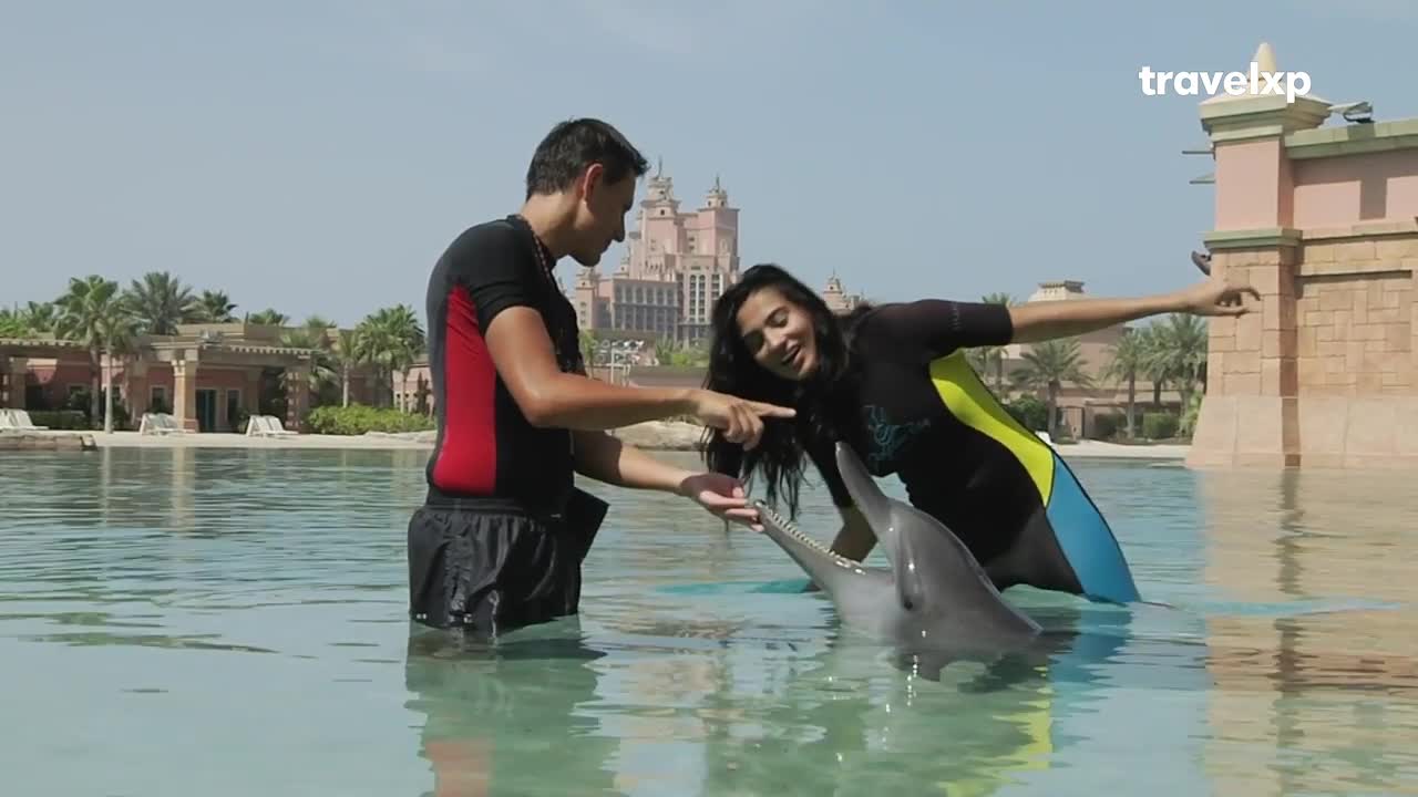A trainer guides a woman as she touches a dolphin's snout in the clear water. Behind them, a grand hotel complex stands under a bright sky. A trainer guides a woman as she touches a dolphin's snout in the clear water. Behind them, a grand hotel complex stands under a bright sky.