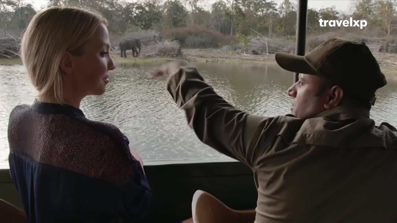 A guide points across the water, directing a woman's attention to an elephant on the far bank. The boat glides through the calm water, a peaceful moment on this Indian safari.