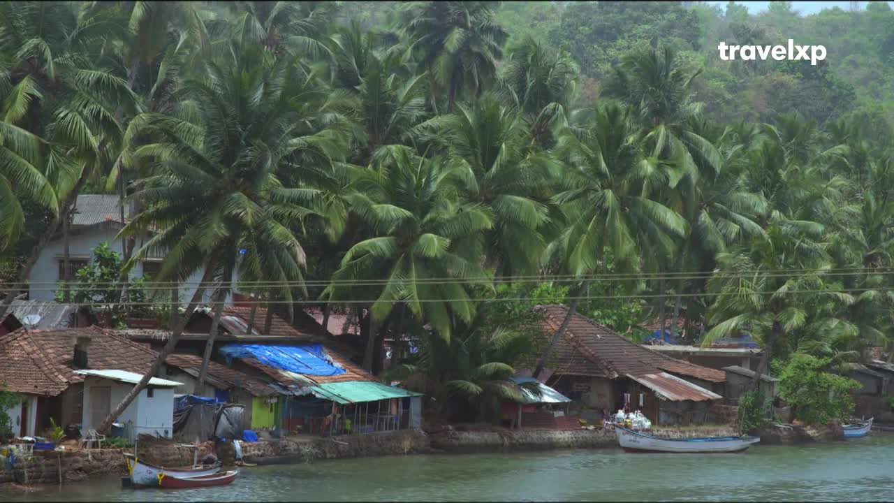A small boat drifts on the water, passing a row of homes nestled amongst dense palm trees. The scene, reminiscent of a Travelxp journey through India, unfolds peacefully by the riverbank.