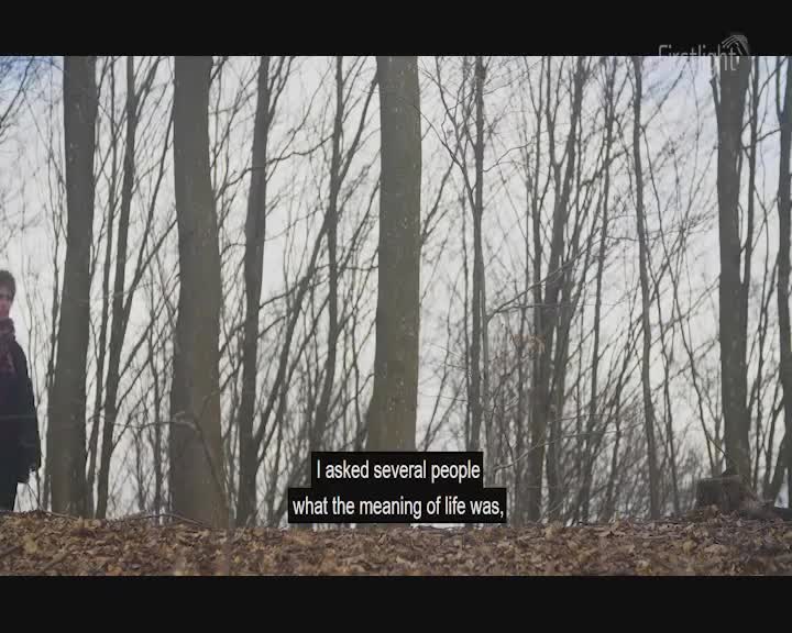 A person stands in a bare forest, their scarf a splash of muted color against the muted tones of the trees. The ground is covered in fallen leaves, a carpet of brown and gold. A person stands in a bare forest, their scarf a splash of muted color against the muted tones of the trees. The ground is covered in fallen leaves, a carpet of brown and gold.