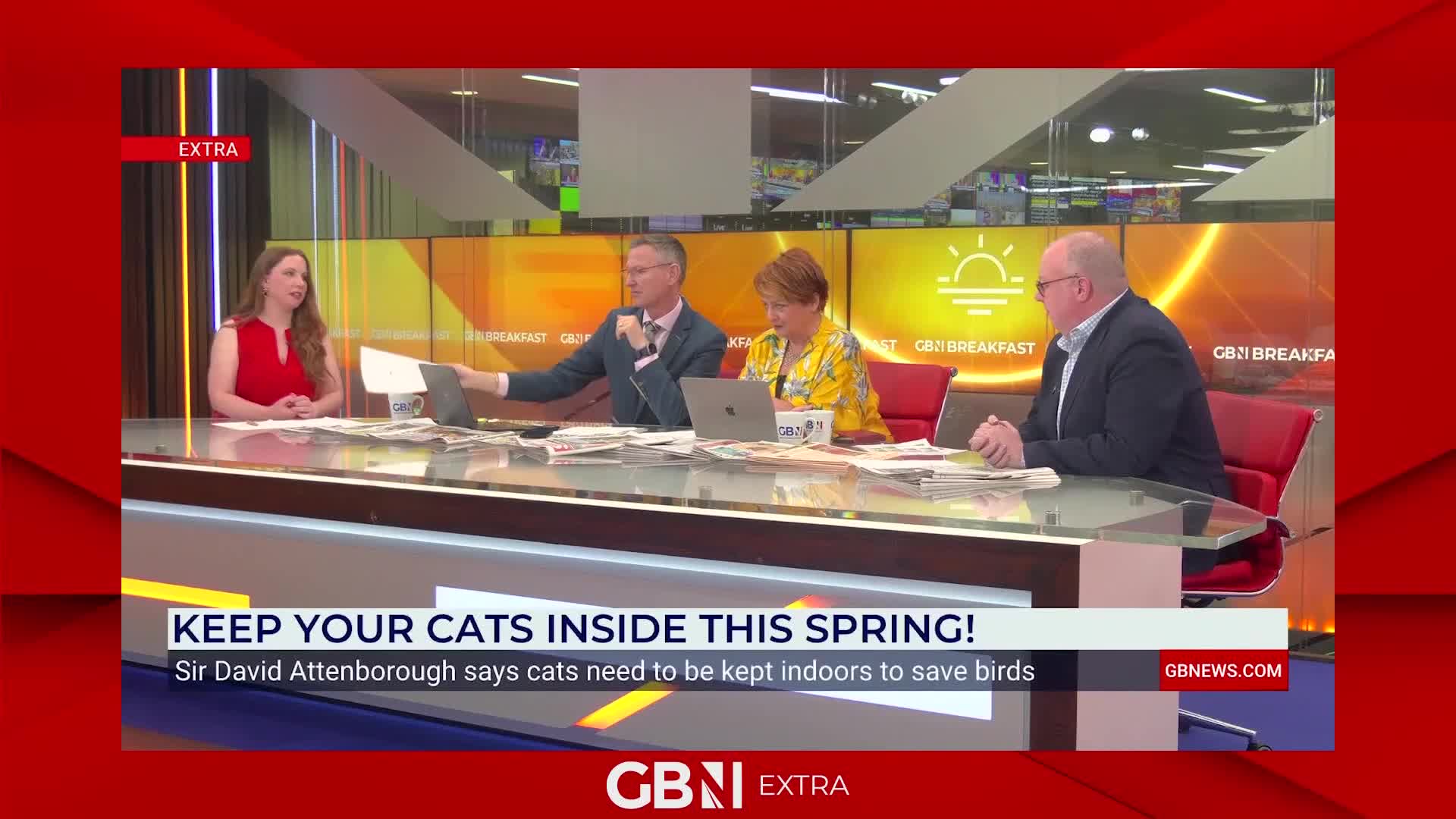 A news anchor on GB News leans forward, holding a document, as his colleagues listen intently. The chyron below reads, "KEEP YOUR CATS INSIDE THIS SPRING!"