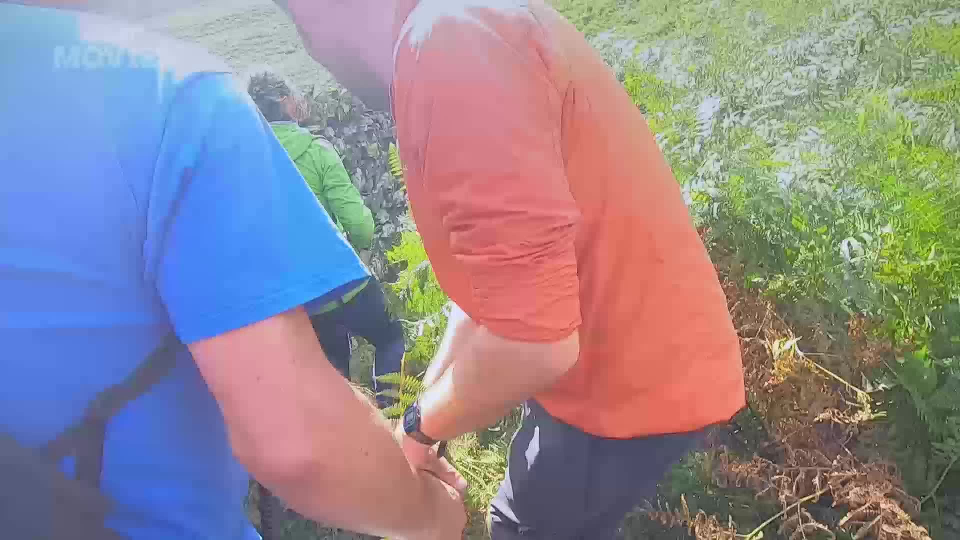 A man in an orange shirt is reaching down, his hands close to the ground. Another man in a blue shirt stands beside him, his arm bent as he also seems to be looking at something in the undergrowth.