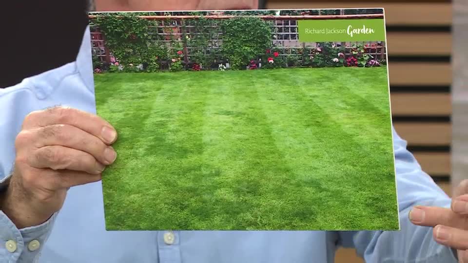A man holds up a photograph of a perfectly striped lawn, complete with a floral border and trellis. This shot, from QVC Extra, showcases Richard Jackson's Garden.