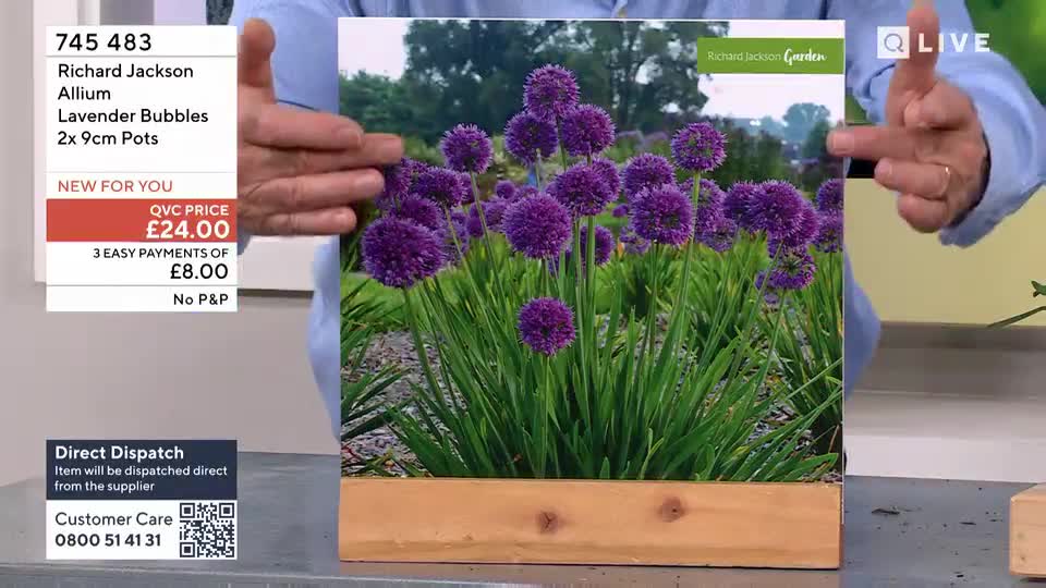 A presenter holds up a large card displaying vibrant purple Allium flowers, part of a QVC Extra garden segment. The card is framed by a wooden border, suggesting a planting display.