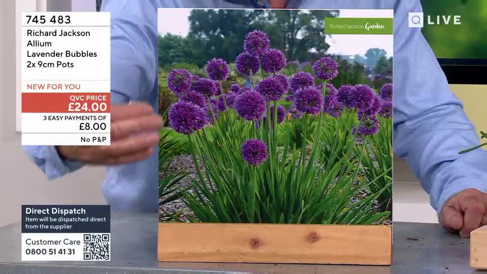 A man in a blue shirt gestures towards a large picture of vibrant purple allium flowers. The QVC Extra graphic displays the price of "Richard Jackson Allium Lavender Bubbles" at £24.00.