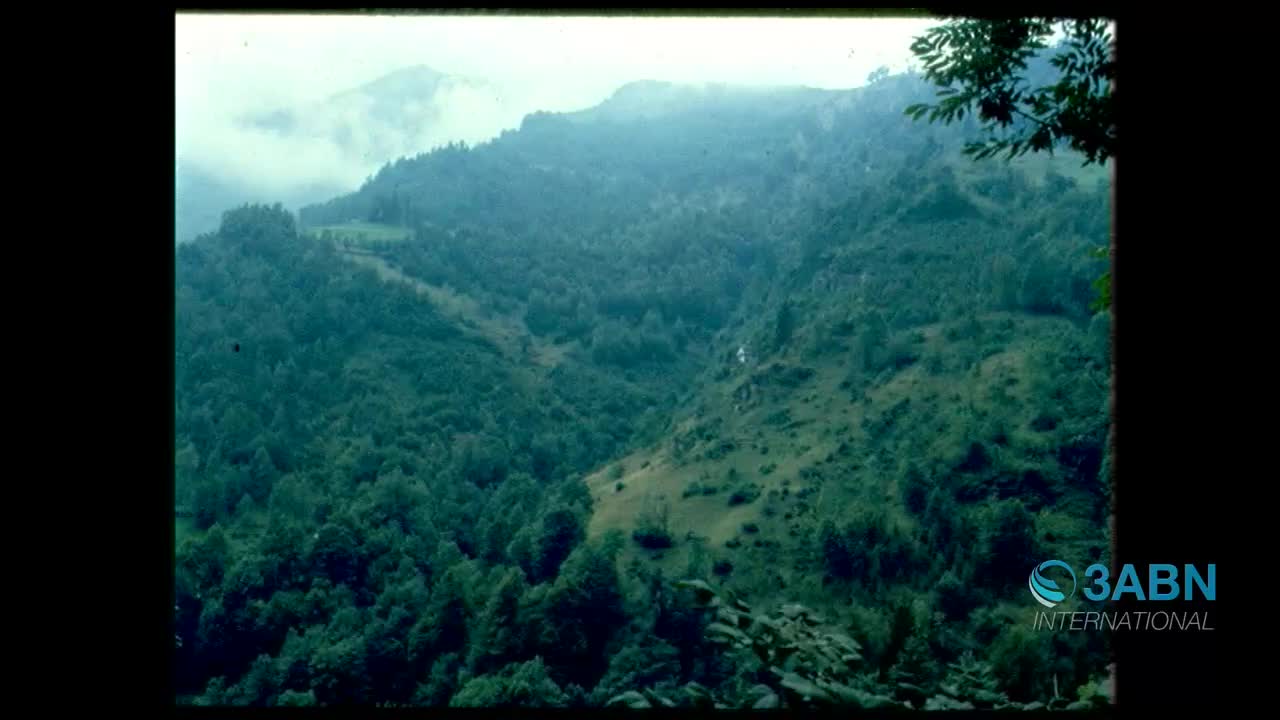 The mountainside is covered in dense green trees, with a winding path cutting through the foliage. A faint white stream trickles down the slope, disappearing into the trees below.