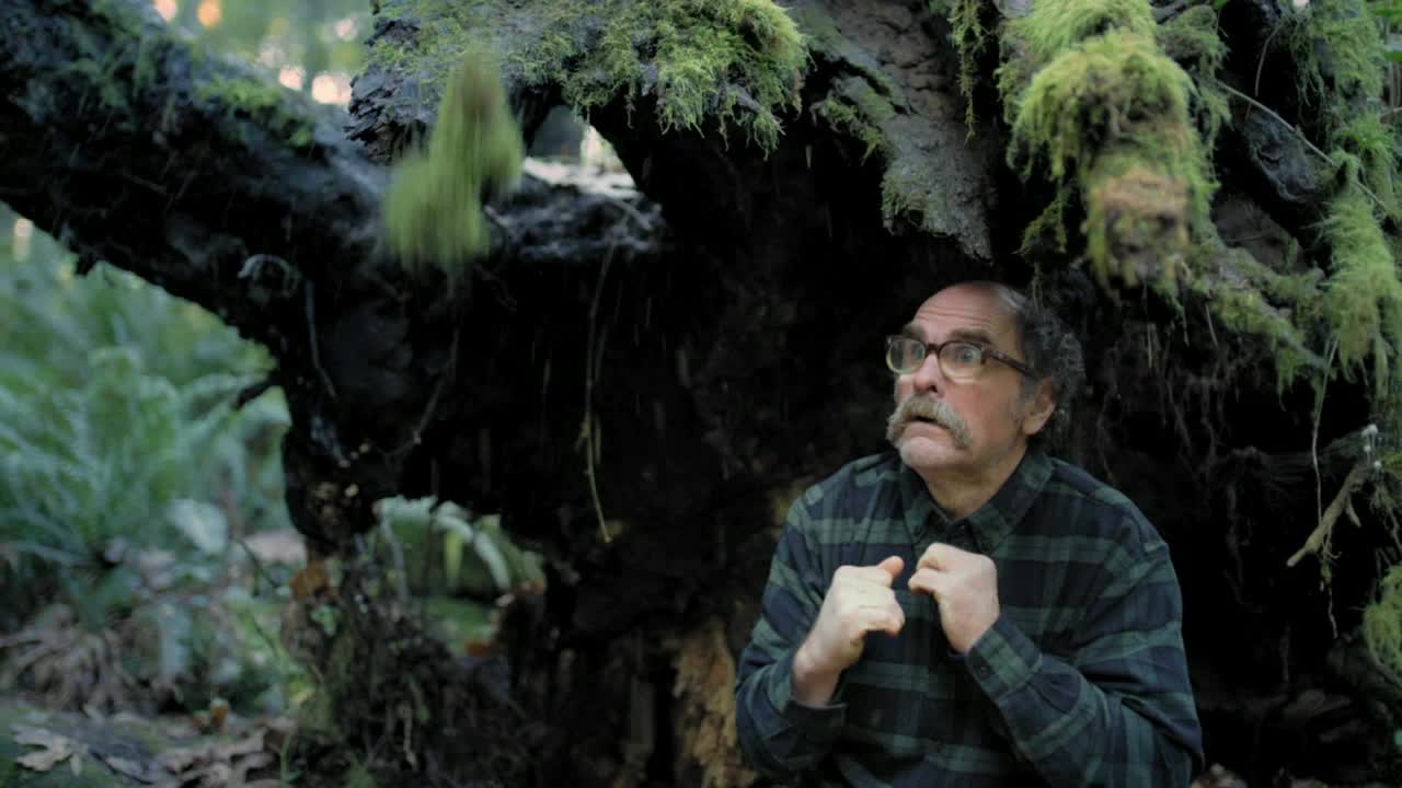 A man in a plaid shirt stares upward, his hands clenched near his chest. Overhead, moss hangs from a dark, gnarled tree limb, with a few strands swaying gently.
