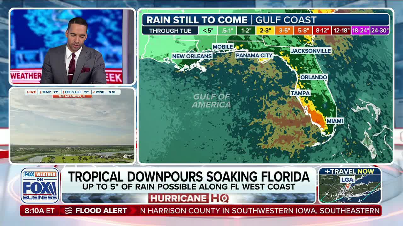 A meteorologist on Fox Business Network is discussing a weather map showing rain accumulation across Florida. The map highlights the Gulf Coast, with varying shades of green, yellow, and orange, indicating expected rainfall amounts.
