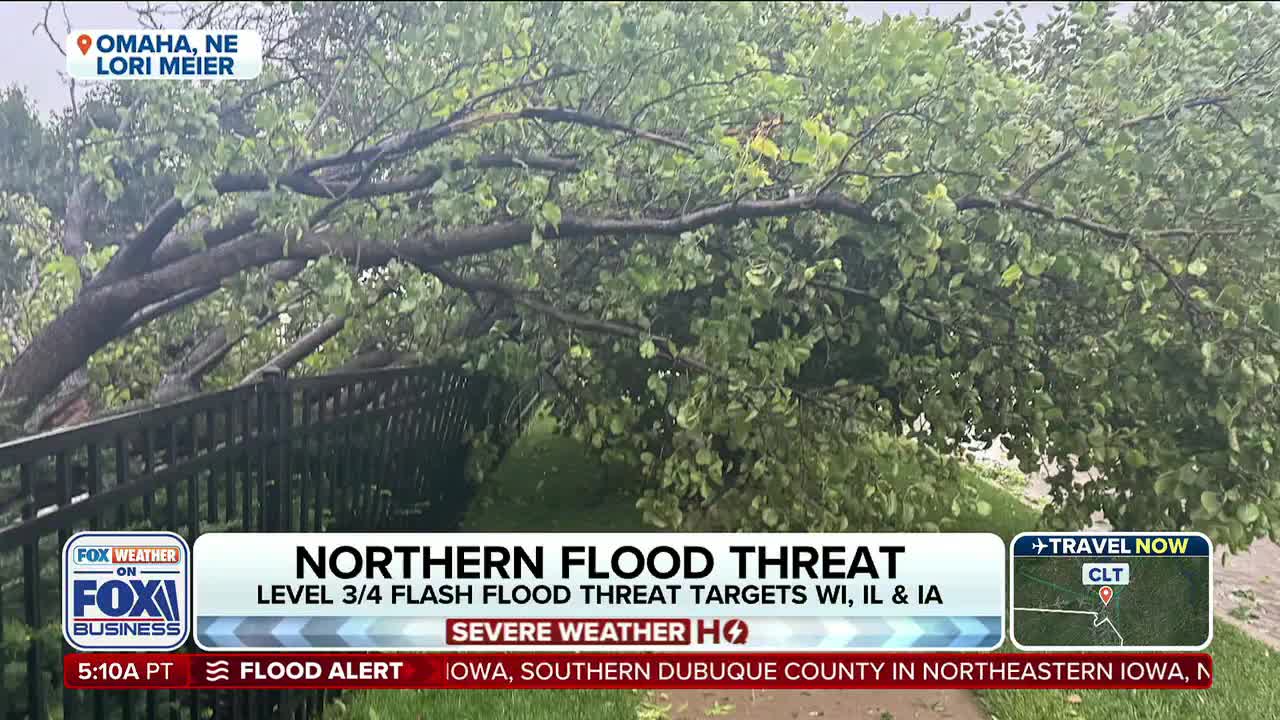 A large tree branch has fallen, resting on a black fence. The Fox Business Network logo and a weather alert are displayed on the screen, indicating a severe weather event in the United States.
