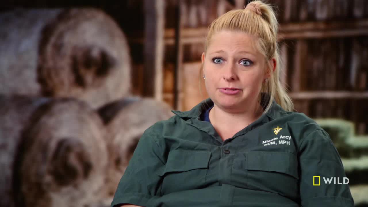 A woman in a green uniform is speaking, her expression serious. In the background, out of focus, are what appear to be large, round objects.
