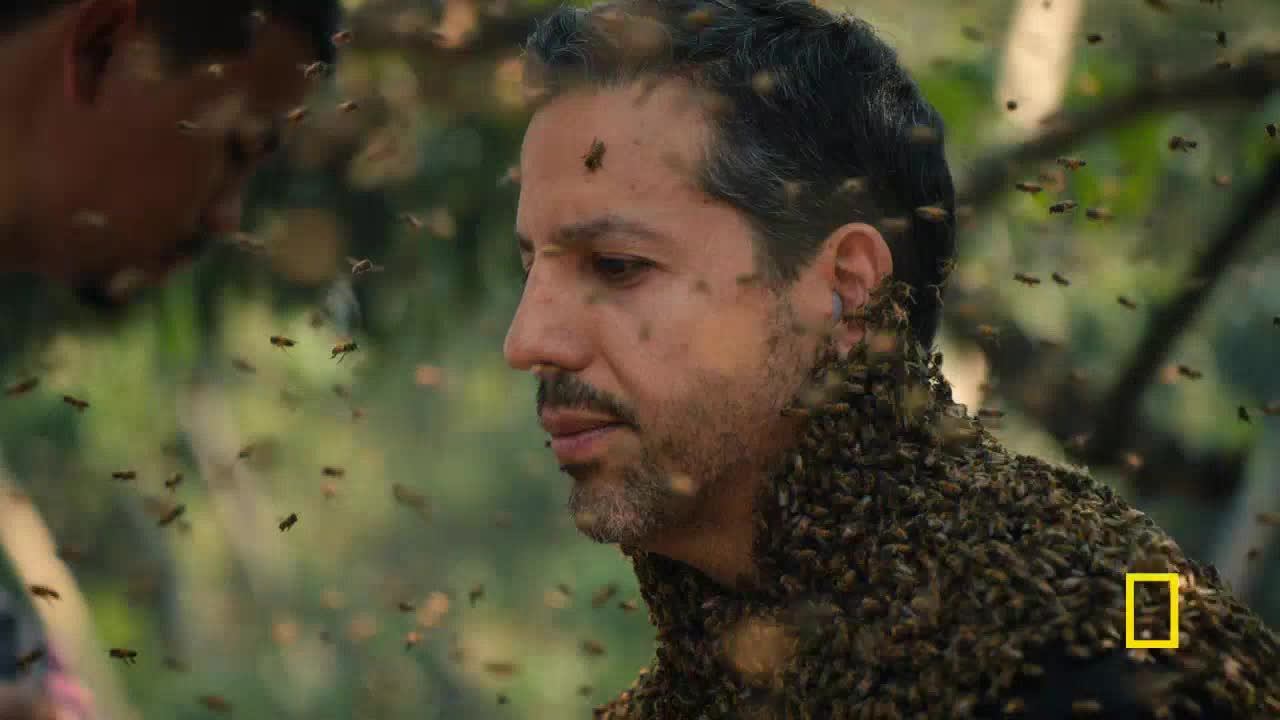 Bees swarm around a man's head and shoulders, some clinging to his shirt and skin. A second person leans in, seemingly observing the scene.

