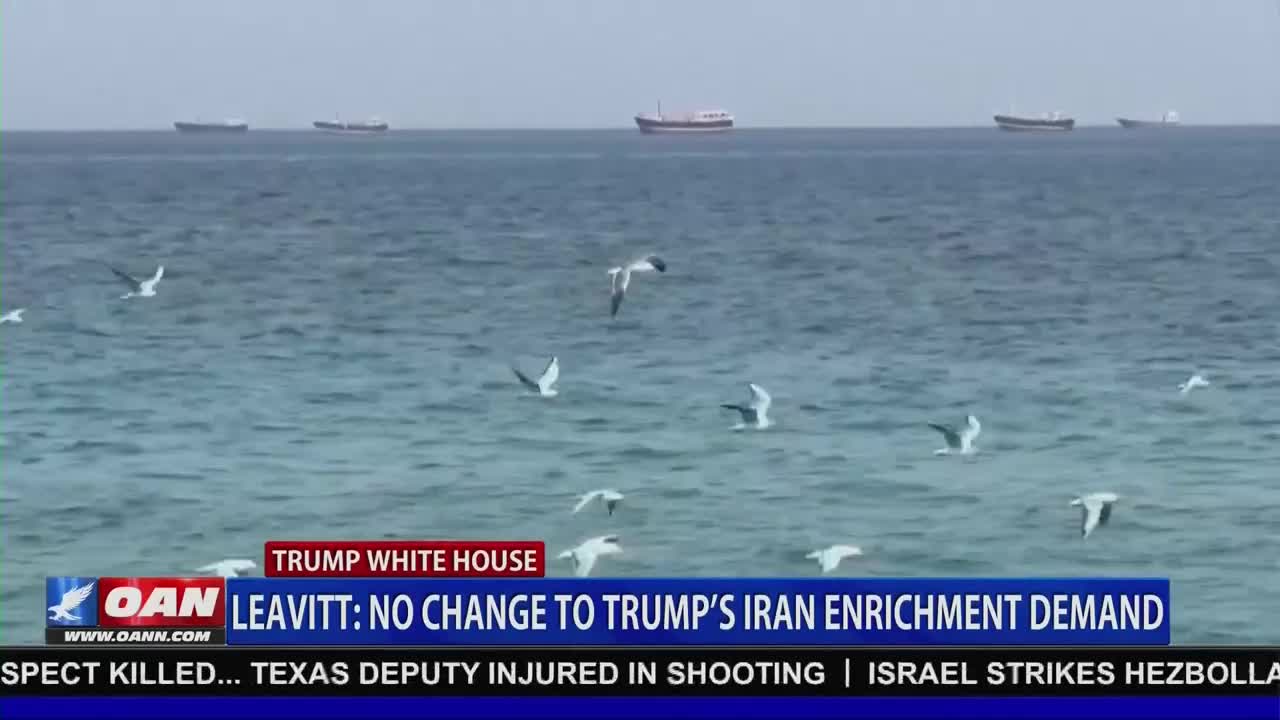 Seagulls glide over the choppy, gray water. Several cargo ships sit on the horizon under an overcast sky.