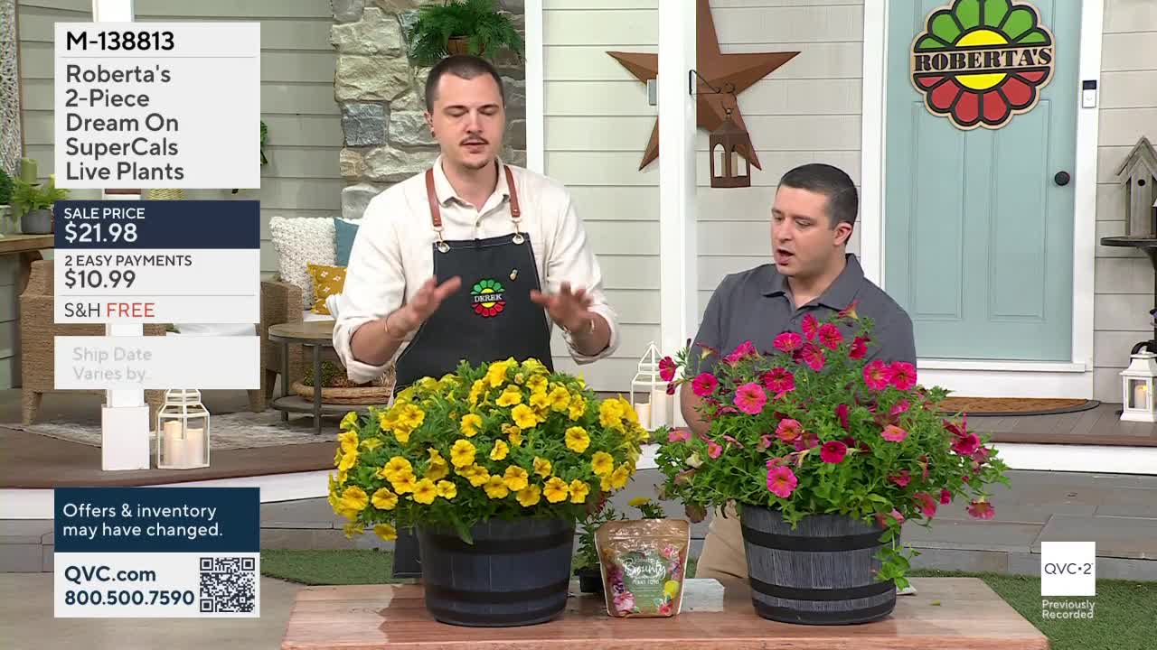 Two men stand on a porch, presenting vibrant potted plants. The man on the left gestures with his hands over a pot overflowing with bright yellow flowers, while the man on the right points to a similar pot bursting with pink blooms.