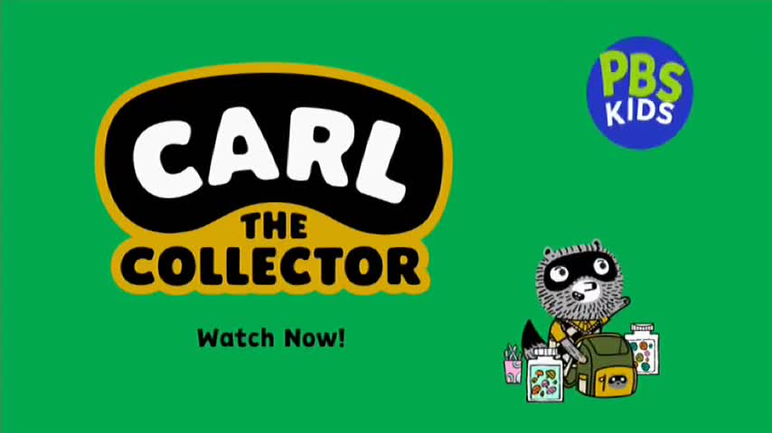 The title card for "Carl the Collector" is on screen, with a raccoon character and the PBS Kids logo. A green background fills the rest of the frame, as the show is likely airing on 10 Bold in Australia.
