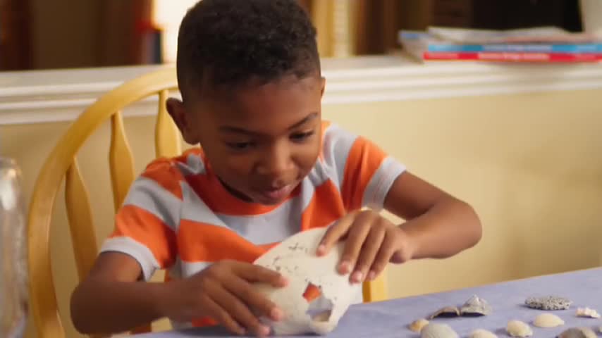 A young boy, wearing an orange and white striped shirt, carefully examines a white, hole-filled object. He's sitting at a table with seashells scattered across it.
