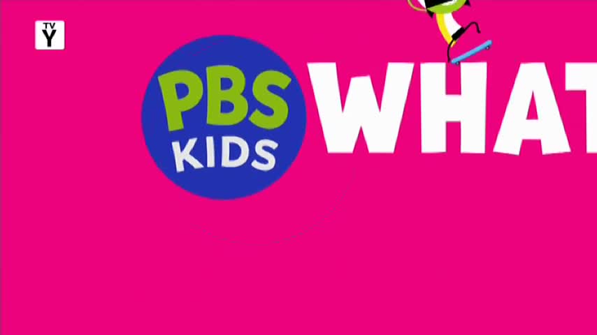 A skateboarding character is mid-air above the word "WHAT." The PBS Kids logo is nestled in a blue circle, set against a bright pink background.
