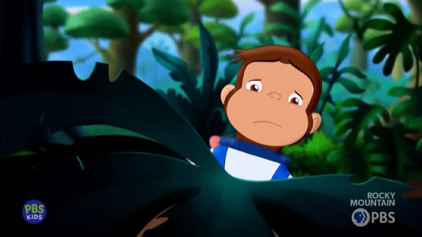A curious monkey peeks out from behind large, dark leaves in a lush jungle. The PBS Kids logo is visible in the corner.