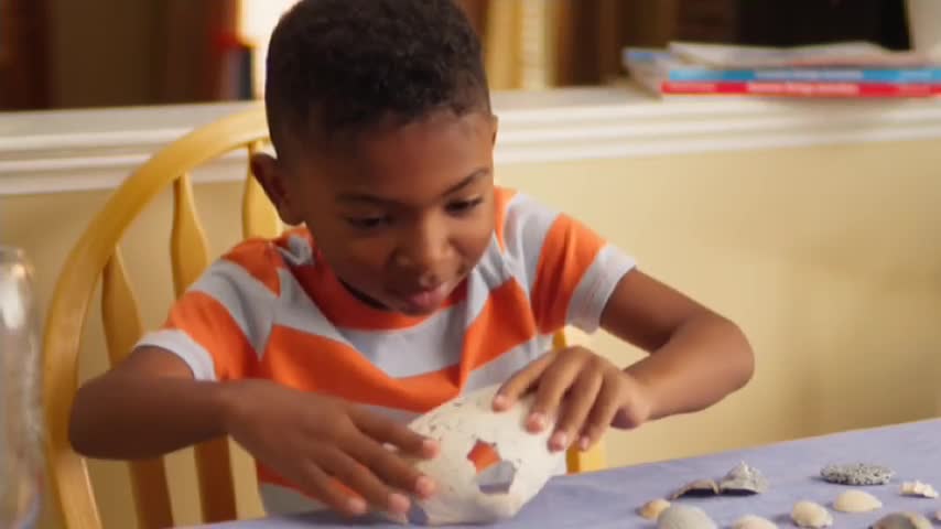 A young boy in an orange and white striped shirt carefully examines a large, hollowed-out shell. He's surrounded by a collection of smaller shells spread across the table.