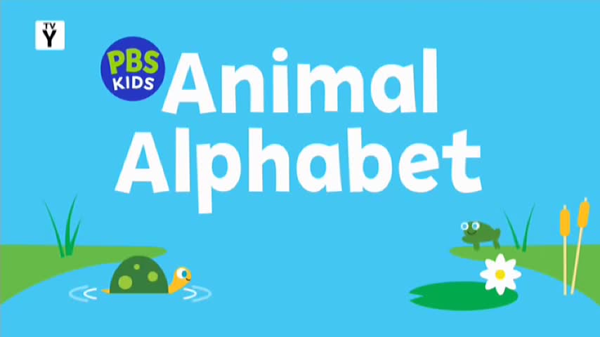 A turtle paddles through the water, leaving ripples behind. Nearby, a frog sits on the bank, watching a white water lily. A turtle paddles through the water, leaving ripples behind. Nearby, a frog sits on the bank, watching a white water lily.