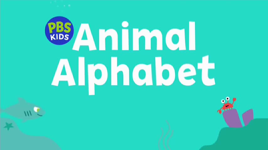 The words "Animal Alphabet" fill the screen in bold white lettering. A cartoon shark swims left on a turquoise background, while a crab perches on a purple sea anemone to the right. The words "Animal Alphabet" fill the screen in bold white lettering. A cartoon shark swims left on a turquoise background, while a crab perches on a purple sea anemone to the right.