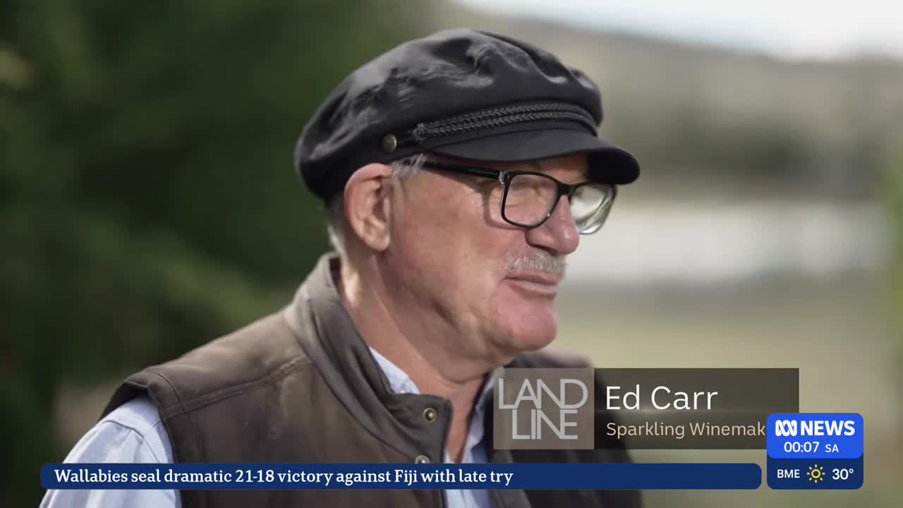 A man in a cap and glasses is being interviewed, his face turned slightly to the side. The ABC News logo is visible in the corner, with a ticker about a Wallabies victory running along the bottom.
