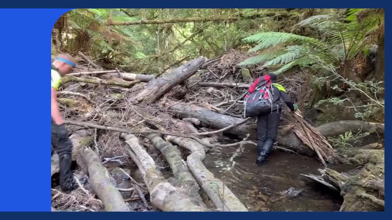 Two people are carefully navigating a stream choked with fallen trees and debris. One, wearing a bright vest, steps over a large log while the other, with a large backpack, wades through the shallow water.