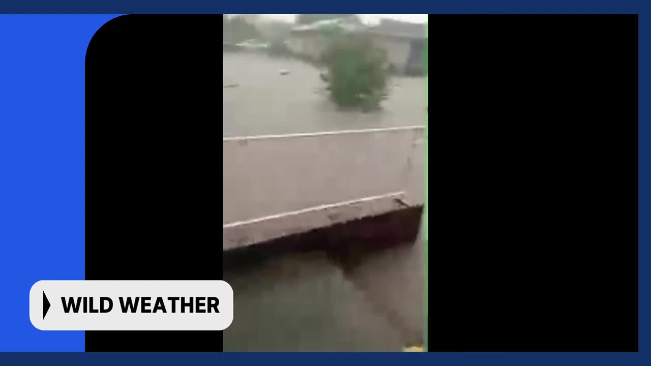The street outside is completely submerged, with water lapping at the base of a small tree. A car is partially visible, floating in the murky water. The street outside is completely submerged, with water lapping at the base of a small tree. A car is partially visible, floating in the murky water.